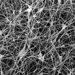 Mountain Equipment Lunar I - Kunstfaserschlafsack Sommer +9°C / +5°C / -8°C 9 Mountain Equipment Lunar I - Kunstfaserschlafsack Sommer +9°C / +5°C / -8°C -Outdoor Ausrüstungs Geschäft Mountain Equipment Luna I Kunstfaserschlafsack Sommer 9C 5C 8C b4